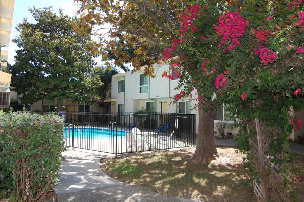 Remodeled and Spacious🌼 Ready To Move-In!