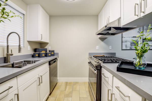 1 bdr Apartment, Refreshing Pool, Pet Waste Stations, BBQ/Picnic Area